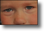 Arend