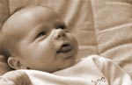 Arend