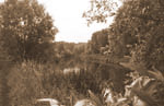 Bourgoyen